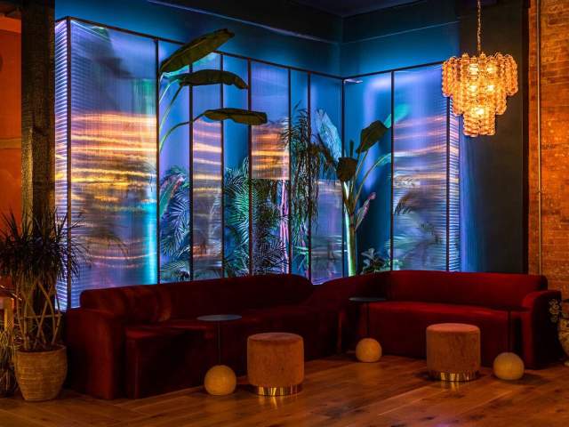 The aquarium wall at Second Story