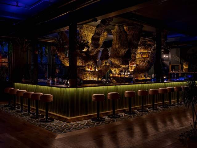 Image is of the bar at Second Story with a tree in the middle of the bar.