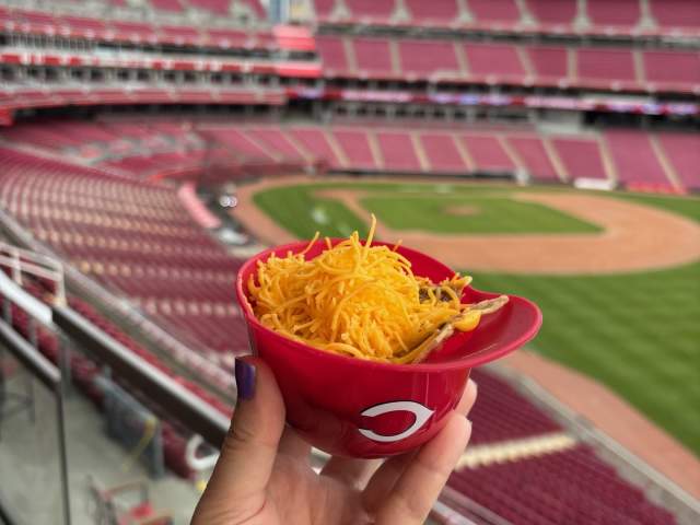 Skyline Nachos
