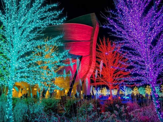 Things to Do - Seasons - Winter