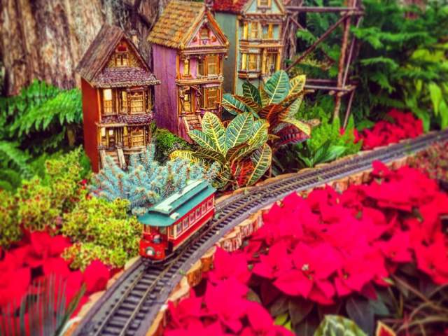 Holiday trains at Krohn Conservatory