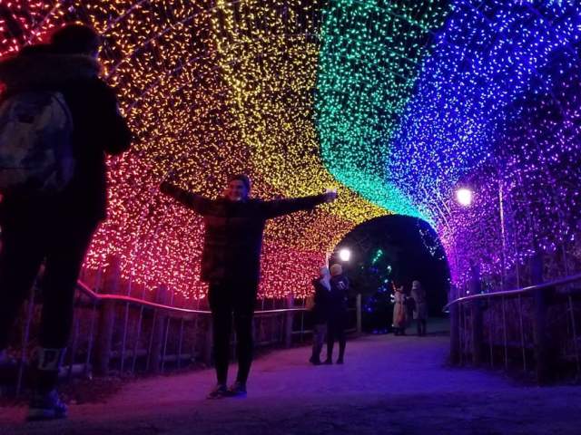 PNC Festival of Lights