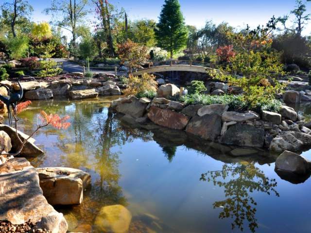Creation Museum Koi Pond (photo: Creation Museum)