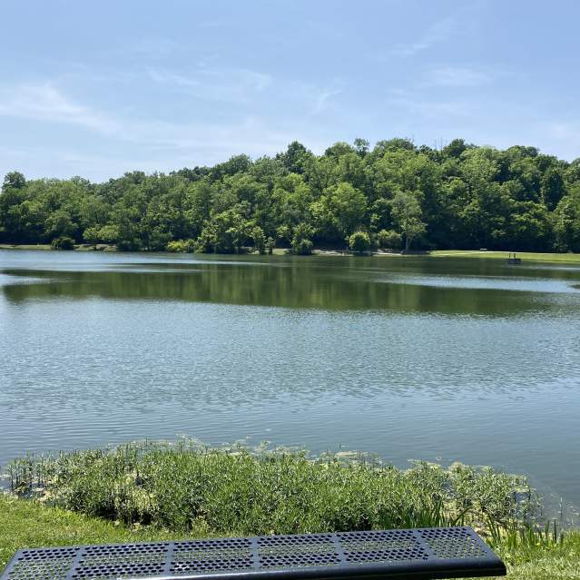 Image is of the lake on a bright and sunny day with the trees in bloom