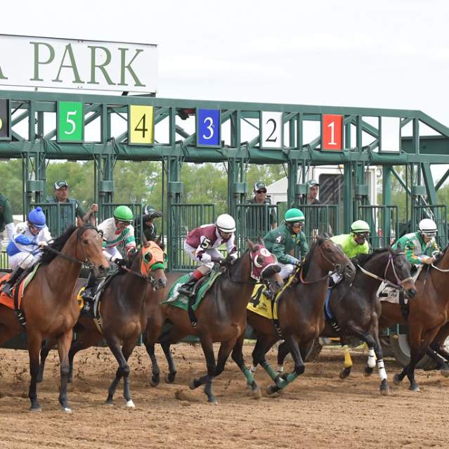 Belterra Park