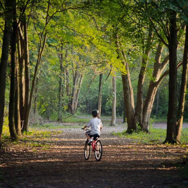 Summer biking in Summit Park