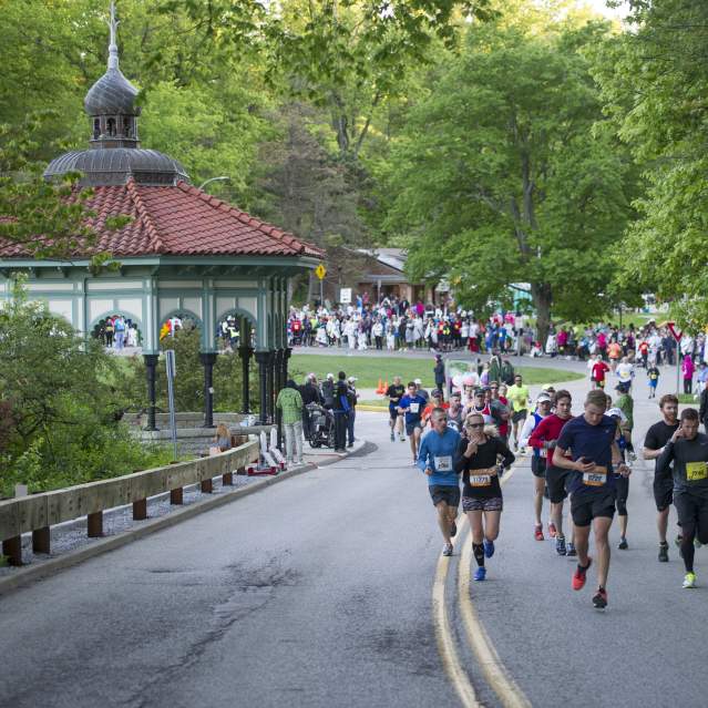 Cincinnati Flying Pig Marathon