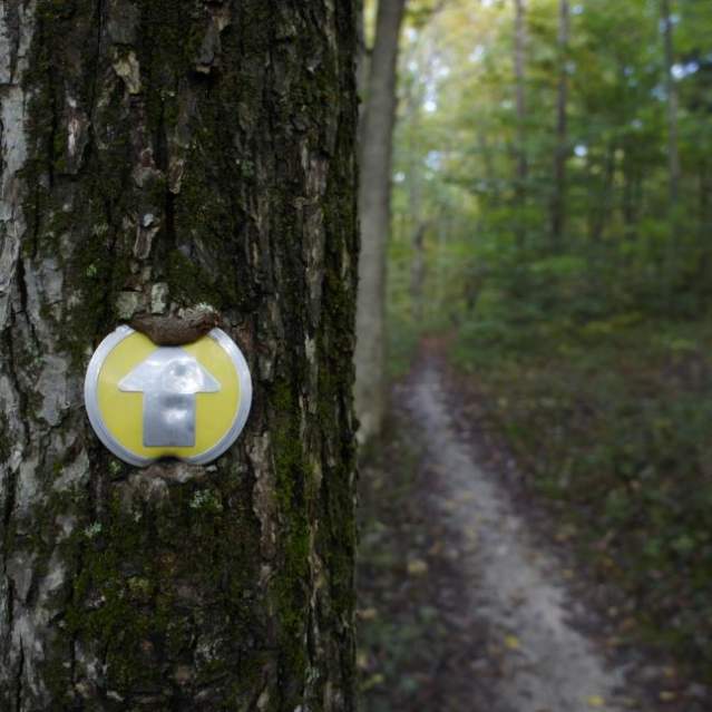 East Fork State Park trail marker