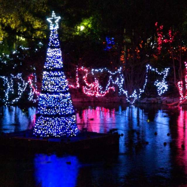 PNC Festival of Lights (photo: Cincinnati Zoo)