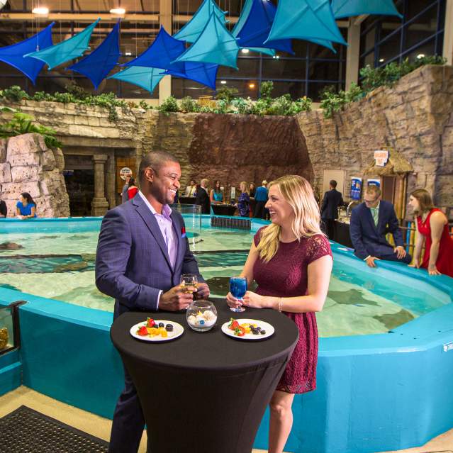 Unique event at an aquarium in Cincinnati