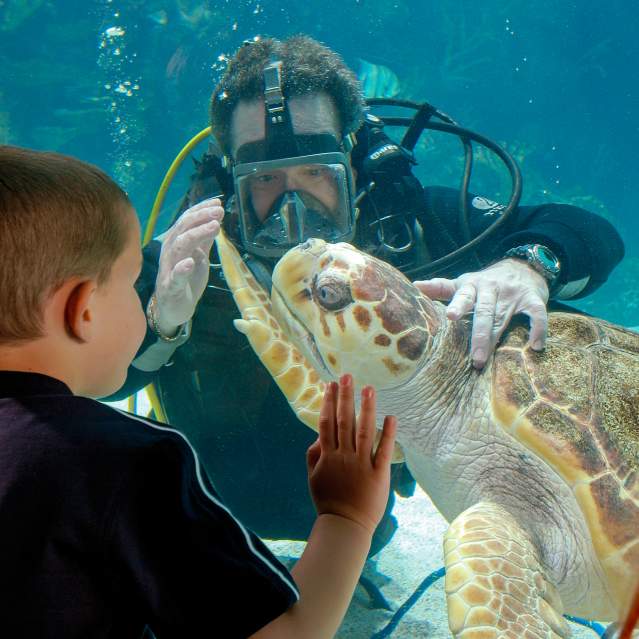 Plan Your Visit - Visitor Guides - Digital Guide