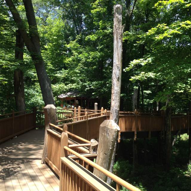 relaxing view from an outdoor hiking trail in Cincinnati