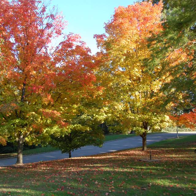 Things to Do - Seasons - Fall
