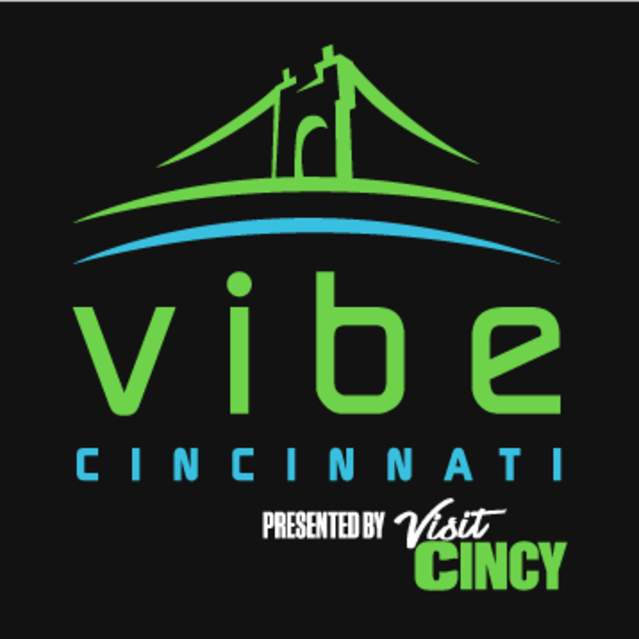 Vibe Logo