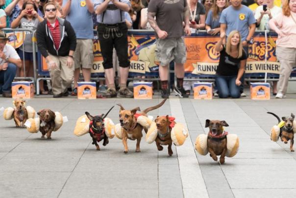Running of the weiners at Oktoberfest Zinzinnati (photo: Brian Douglas Stills)