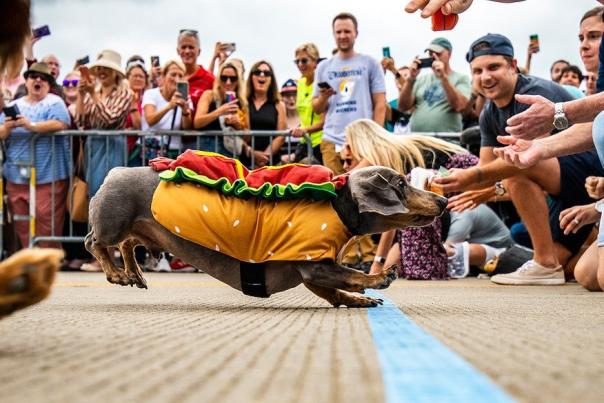 Oktoberfest Zinzinnati @shaemphoto