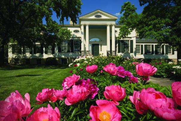 Pink peonies in front of the Taft Museum of Art (photo: Taft Museum of Art)