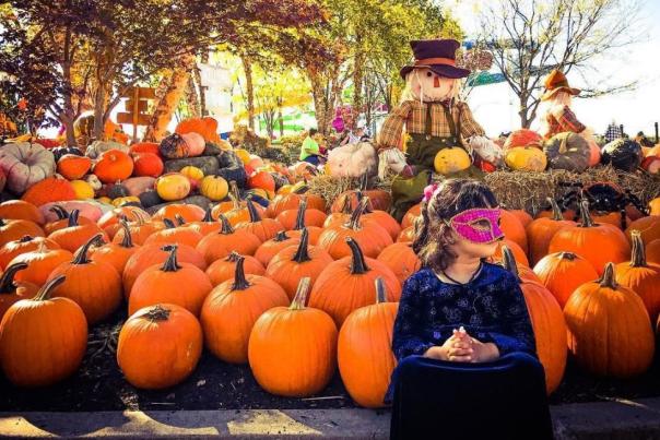 The Great Pumpkin Fest at Kings Island (photo: @anjaligupta.r)