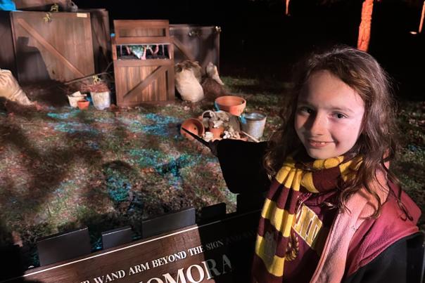 Harry Potter and the Forbidden Forest