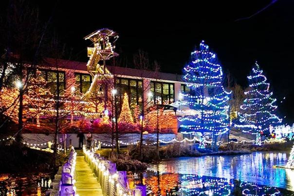 Walkway lighted up for Christmas leading to more holiday lights at the Creation Museum