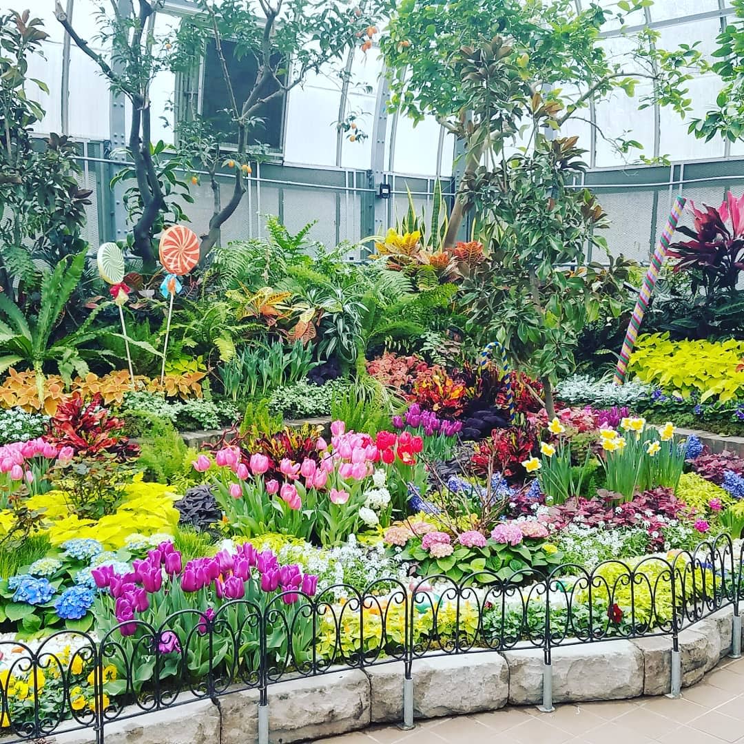Krohn Conservatory (Photo: @unikornjes)