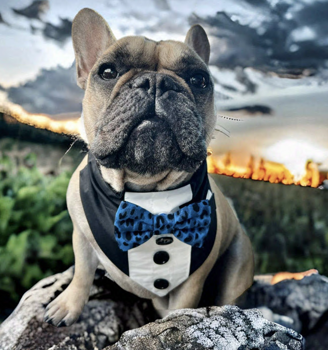 Mayor Wilbur
