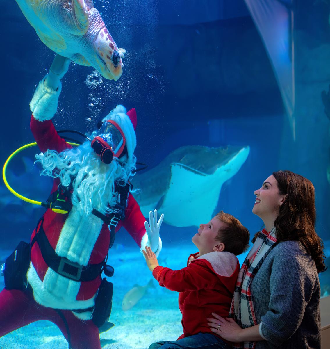 Santa is in scuba gear touching a sea turtle while a mom and boy watch.