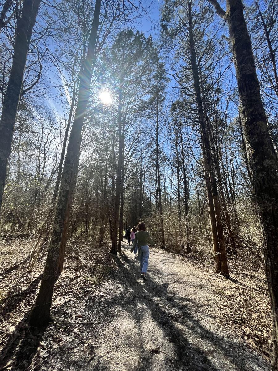 Image is of a girl walking away in the woods on a trail at Big Bone Lick