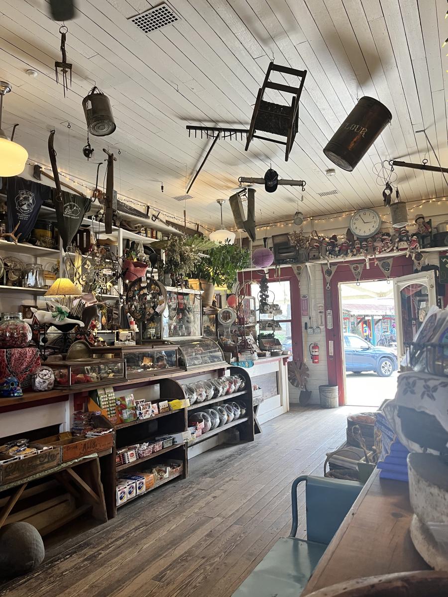 Image is of the inside of the Rabbit Hash General Store which includes candy jars, antiques and plants.
