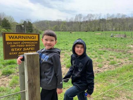 bison safety sign at big bone lick state historic site in union ky