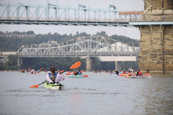Paddlers cross under several iconic bridges in downtown Cincinnati