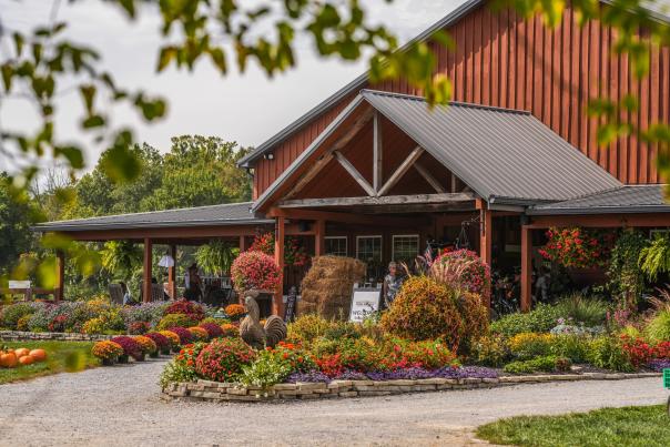 Exterior of a barn with fall foliage and colors