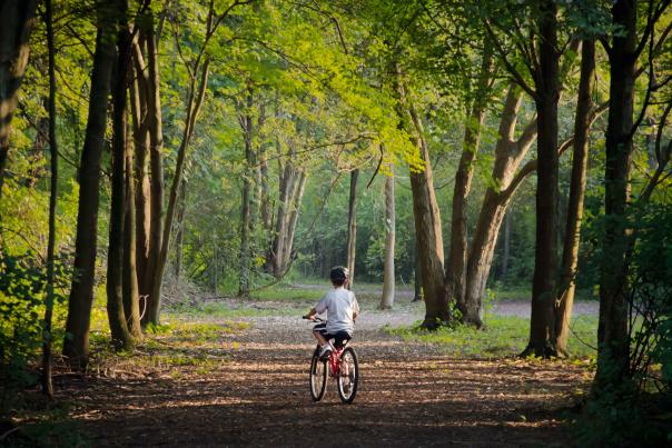 Summer biking in Summit Park