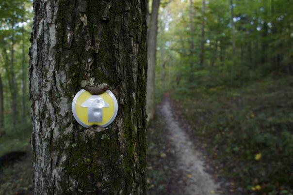 East Fork State Park trail marker