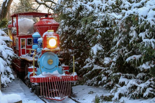 A red and blue train winds through a snowy path.