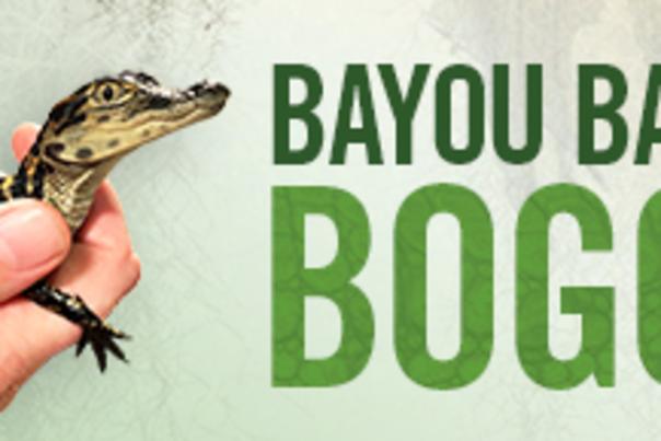 Bayou Babies at Newport Aquarium