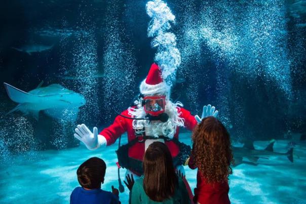 Scuba Santa