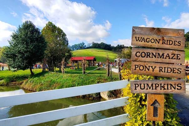 sign reading wagon rides corn maze pony rides pumpkins at neltner farm in cambell county kentucky
