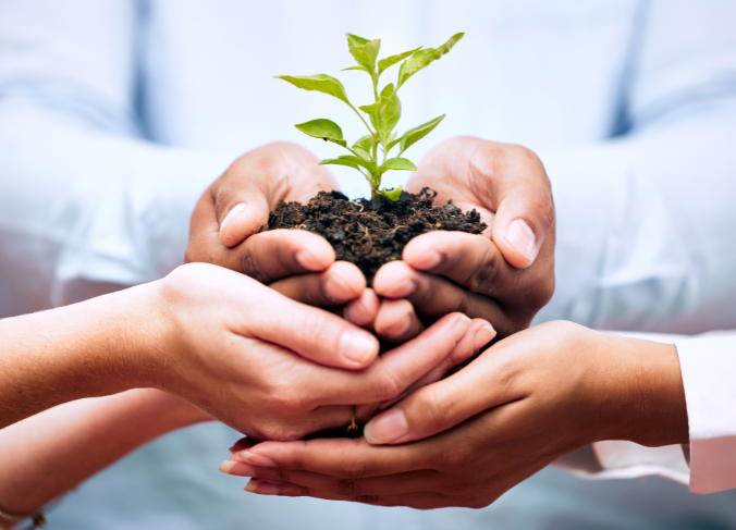 Image is of three sets of hands, one on top of the other with the top set of hands holding dirt and a blooming fern.