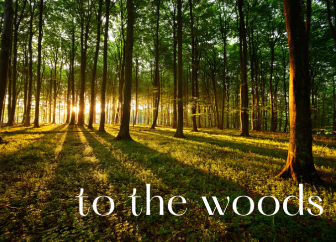 Image is of a forest at dusk with the woods "to the woods" in the bottom right.