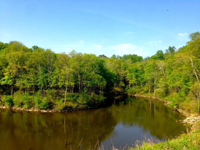 East Fork State Park. East Fork State Park.