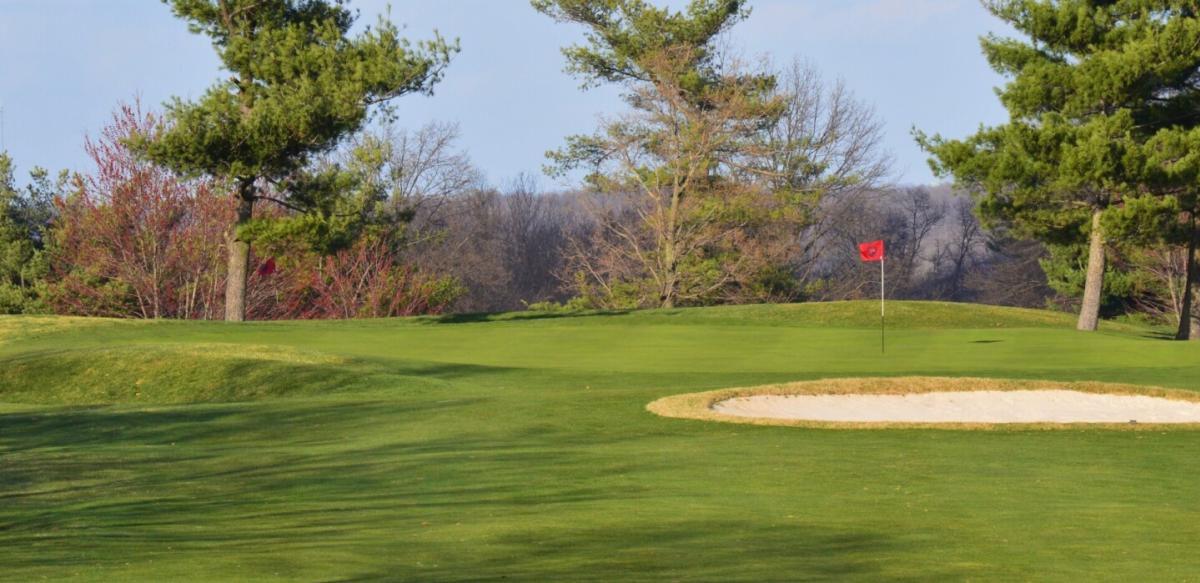 A green golf course with a sand pit and red flag in front of a row of pine trees