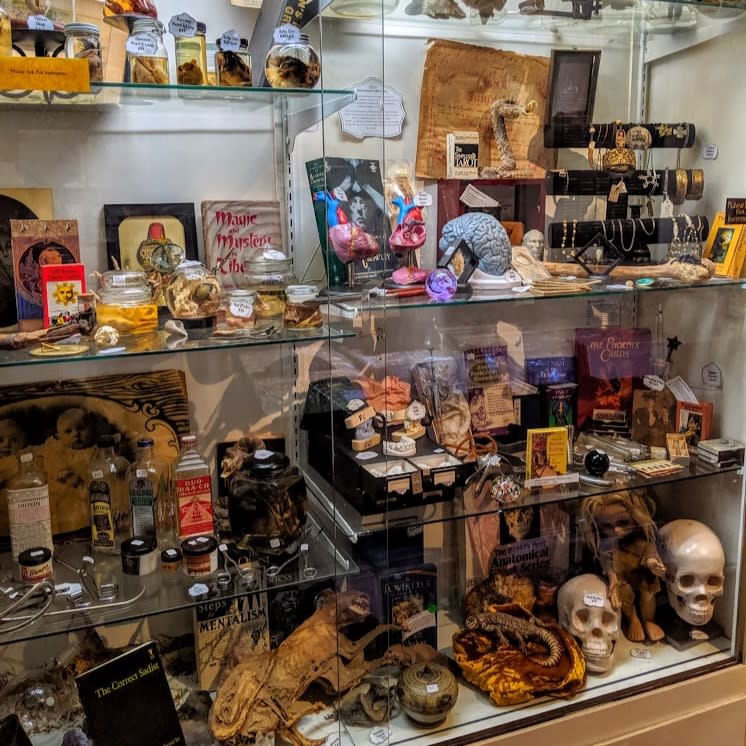 A display case with multiple shelves filled with various oddities.