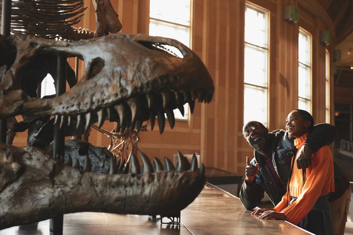 A father and daughter look at the dinosaur skeleton at the Cincinnati Museum Center