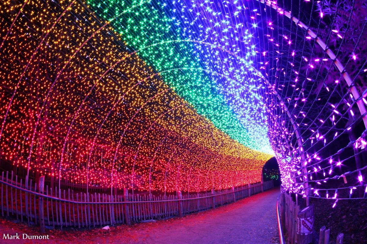 Colorful light tunnel