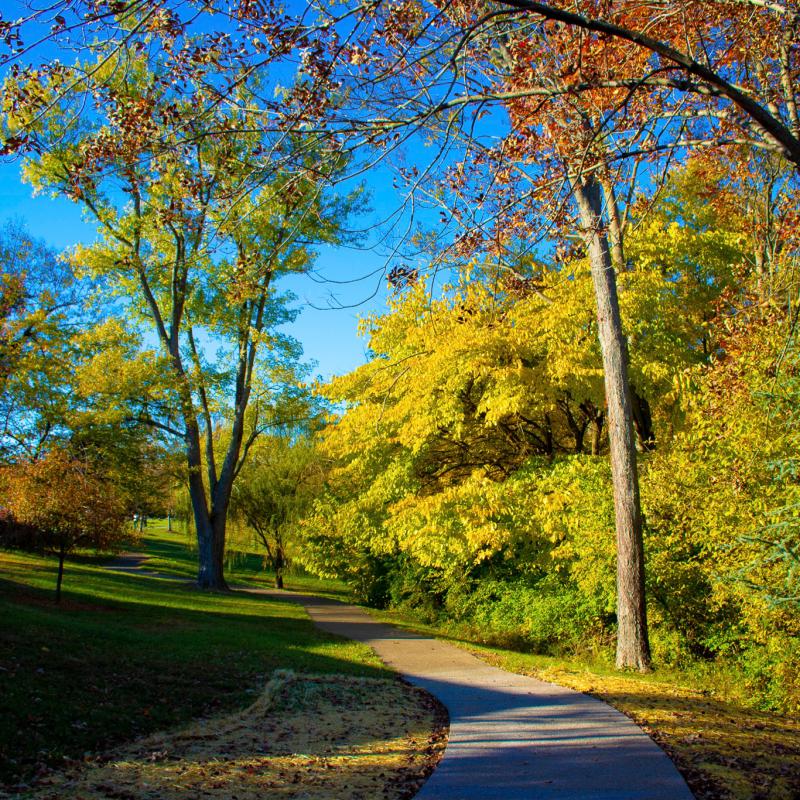 Florence Nature Park Walking Trail