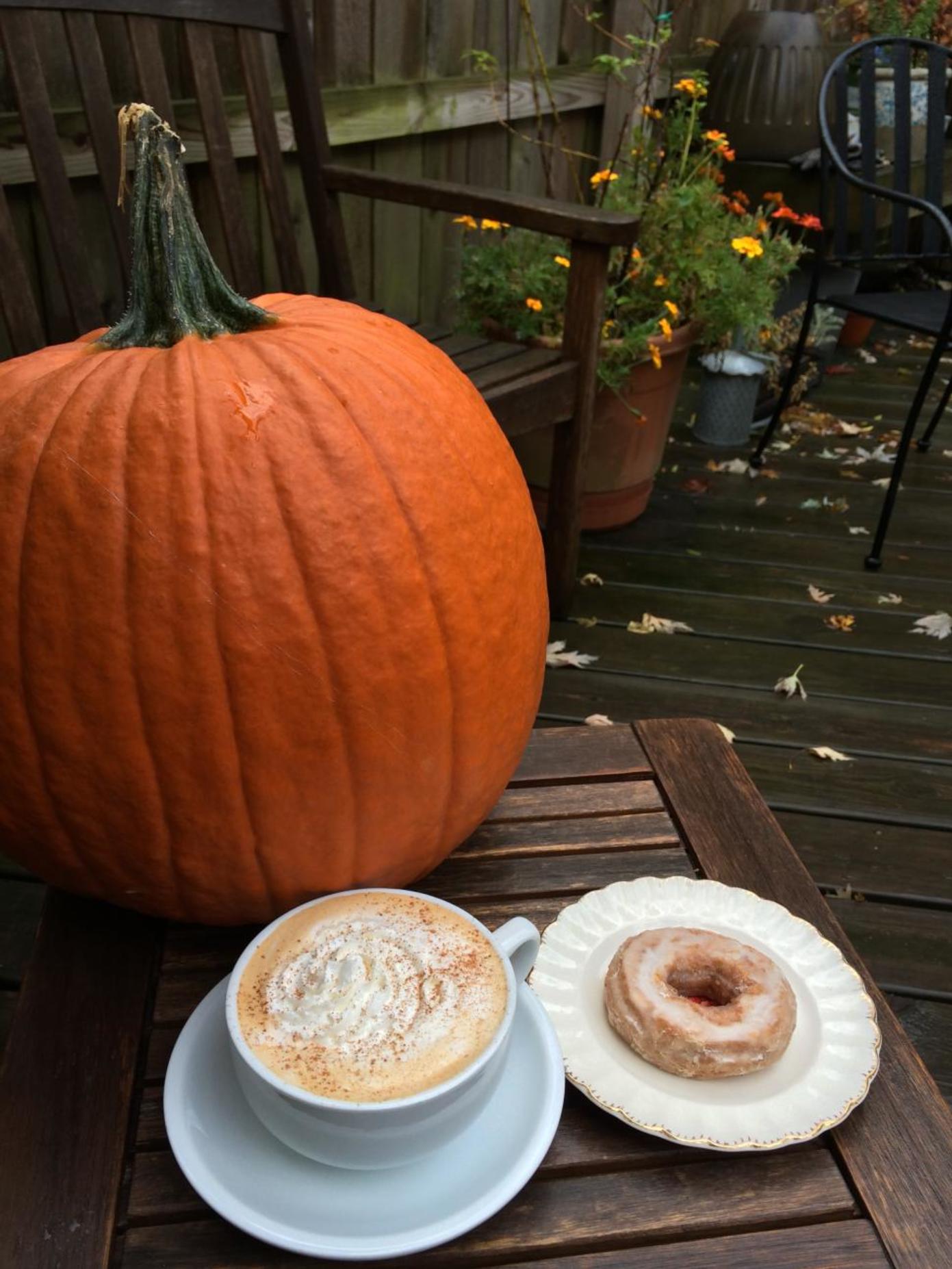 Left Bank Coffeehouse (photo: Katie Scheper)
