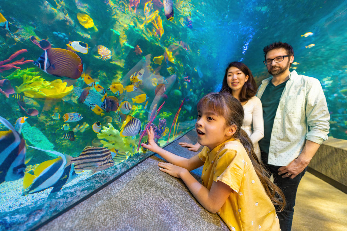 Kid-Friendly Things to Do in Cincinnati This Weekend: Fun Awaits!