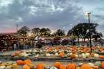Fall Festival at Greenbrier Farms