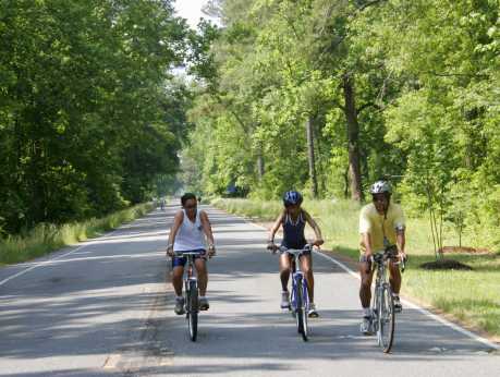 Dismal Swamp Canal Trail